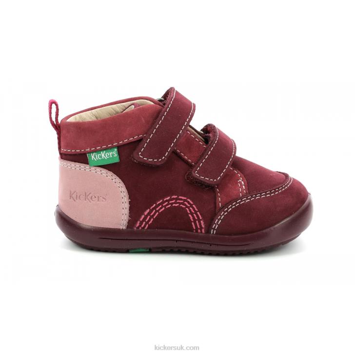 Kinop Burgundy Pink Tricolor Kickers ZDBR928 Kids
