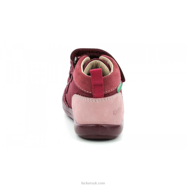 Kinop Burgundy Pink Tricolor Kickers ZDBR928 Kids