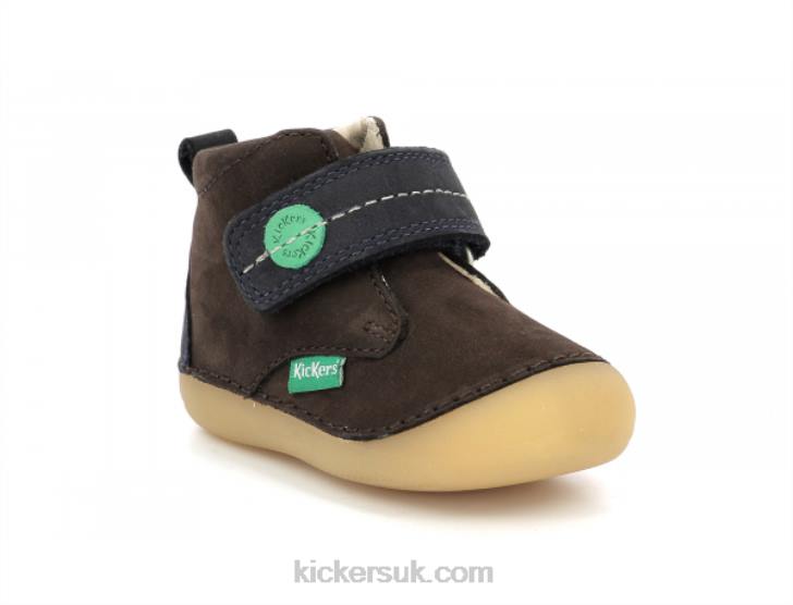 Sabilo Dark Brown Navy Kickers ZDBR789 Kids