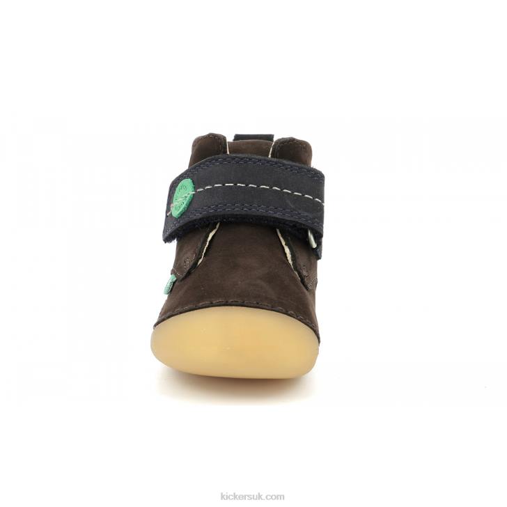 Sabilo Dark Brown Navy Kickers ZDBR789 Kids
