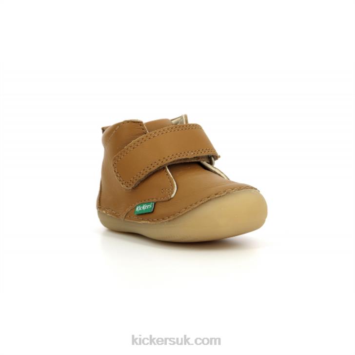 Sabio Camel Kickers ZDBR792 Kids