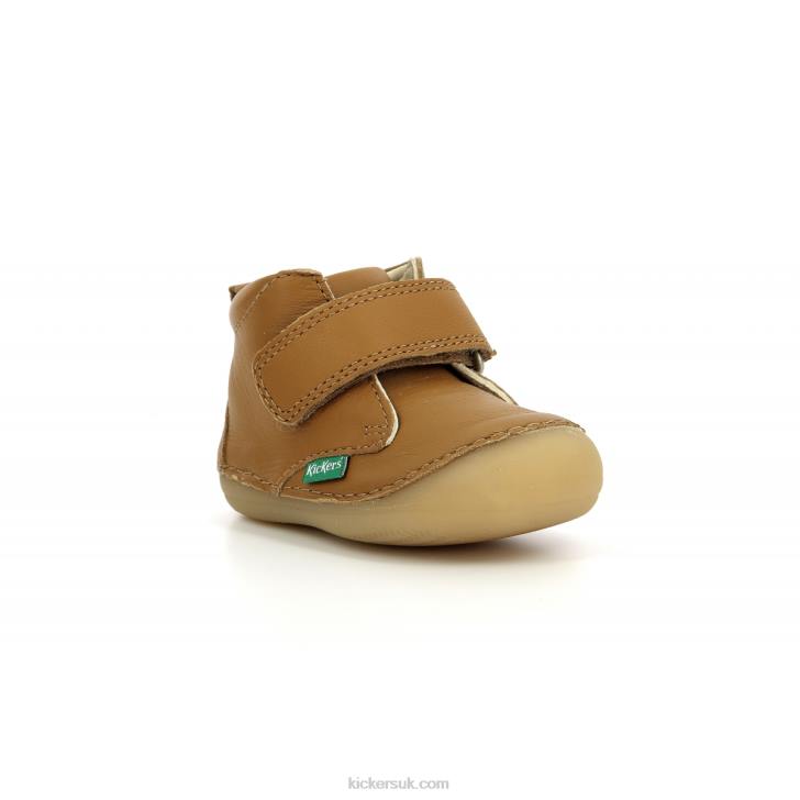 Sabio Camel Kickers ZDBR792 Kids
