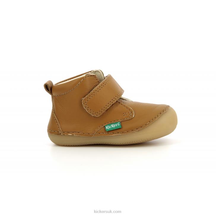 Sabio Camel Kickers ZDBR792 Kids