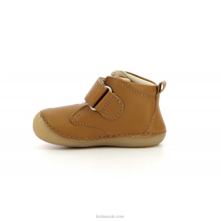 Sabio Camel Kickers ZDBR792 Kids