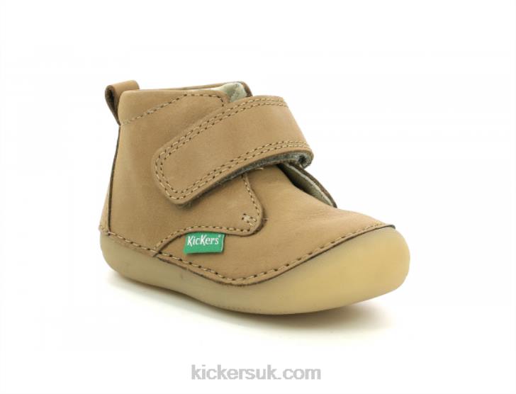 Sabio Camel Kickers ZDBR892 Kids