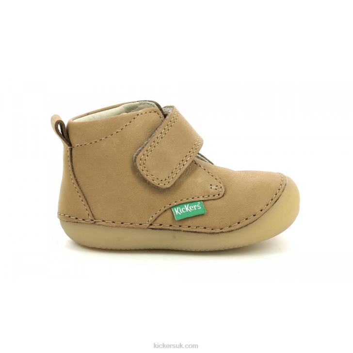 Sabio Camel Kickers ZDBR892 Kids