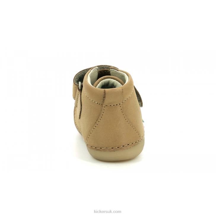Sabio Camel Kickers ZDBR892 Kids