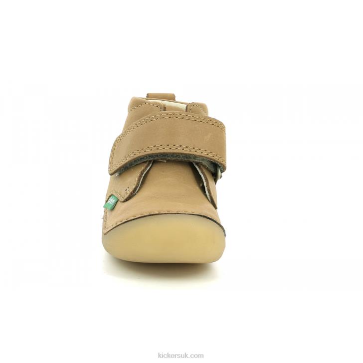 Sabio Camel Kickers ZDBR892 Kids