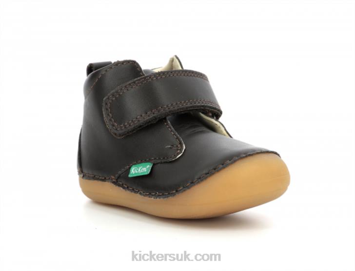 Sabio Dark Brown Kickers ZDBR790 Kids