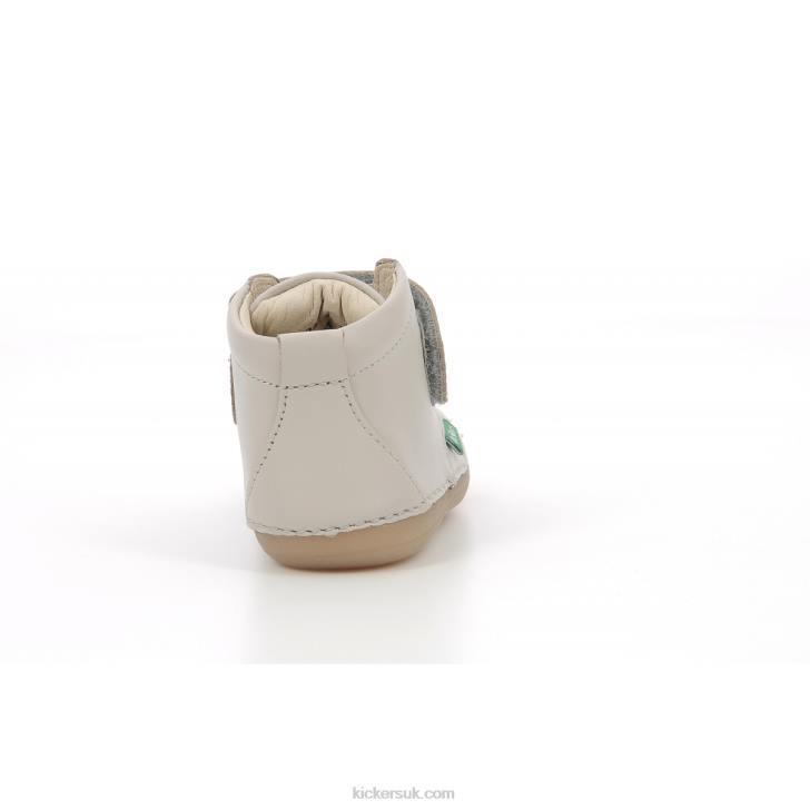 Sabio Light Grey Kickers ZDBR793 Kids