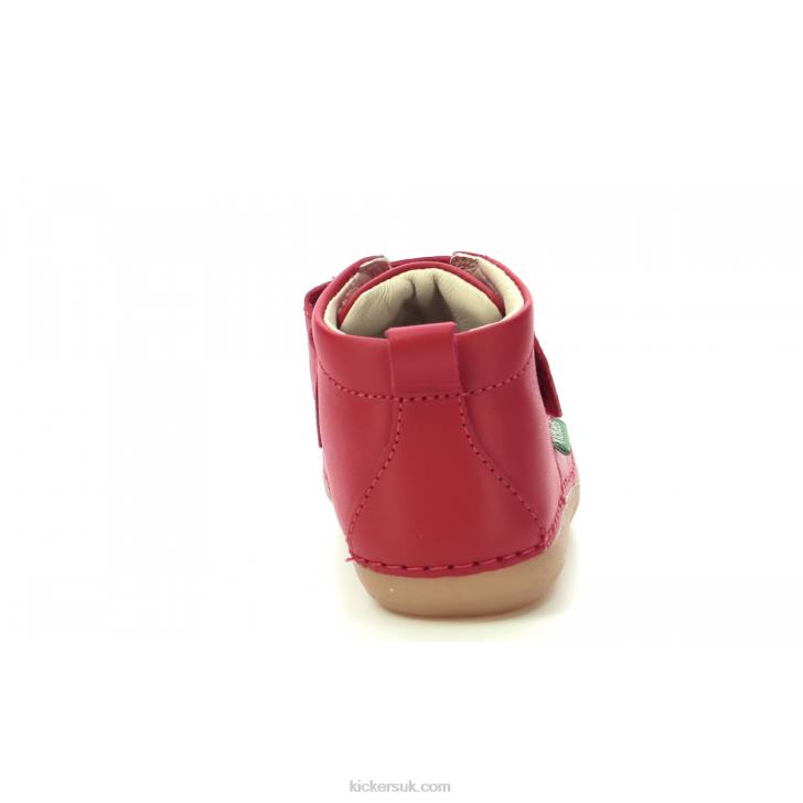 Sabio Red Kickers ZDBR862 Kids
