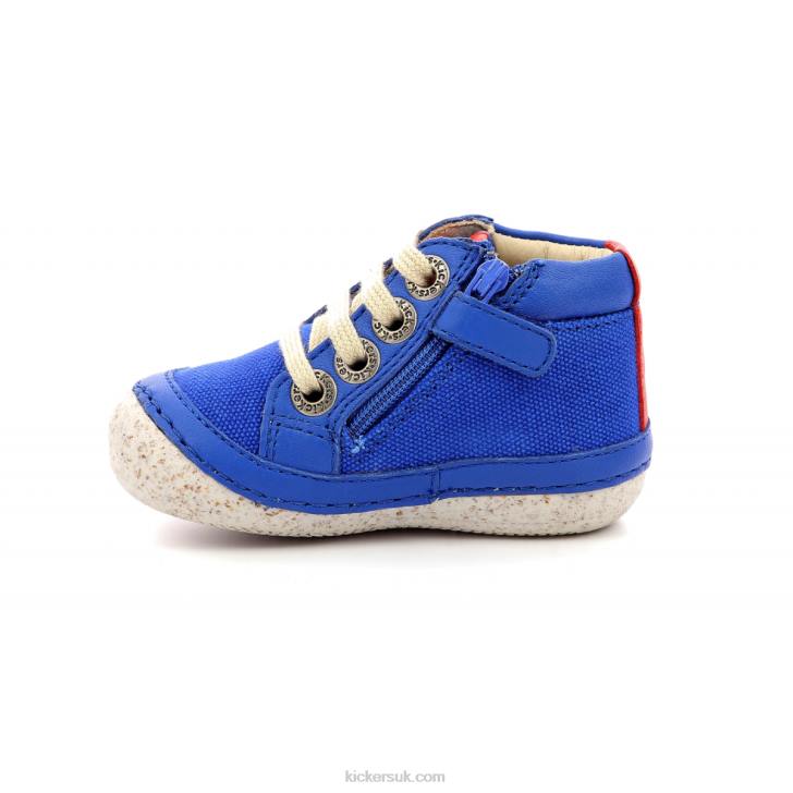 Sonistreet Blue Red Kickers ZDBR782 Kids