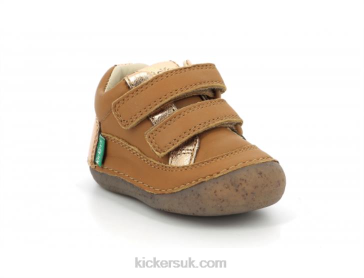 Sostankro Camel Gold Kickers ZDBR891 Kids