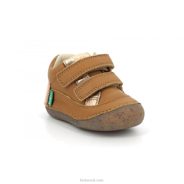Sostankro Camel Gold Kickers ZDBR891 Kids
