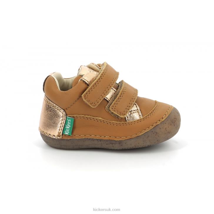 Sostankro Camel Gold Kickers ZDBR891 Kids