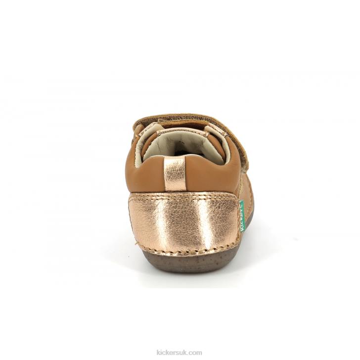 Sostankro Camel Gold Kickers ZDBR891 Kids