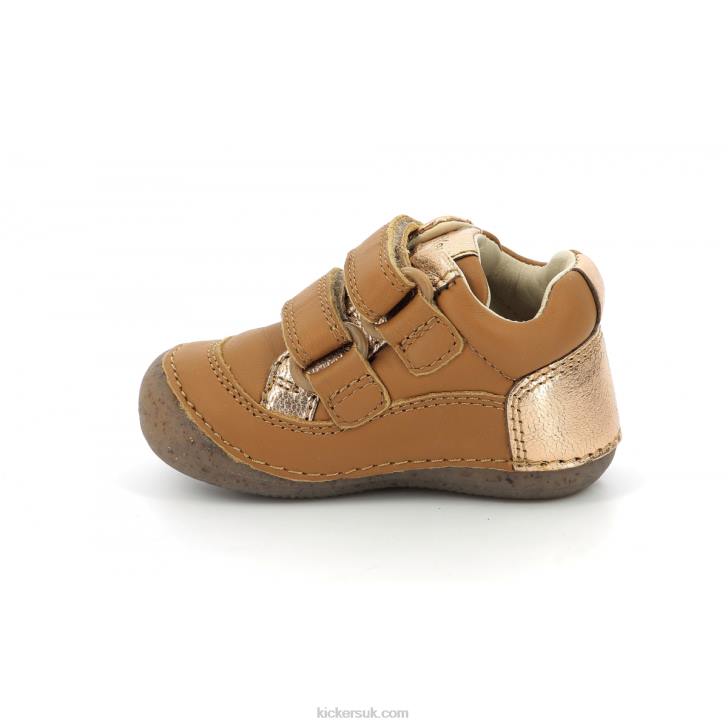Sostankro Camel Gold Kickers ZDBR891 Kids