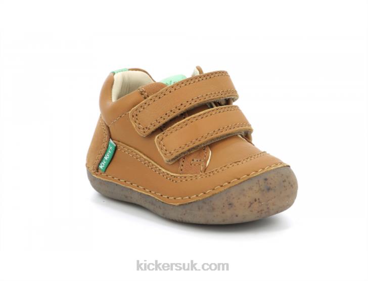 Sostankro Camel Kickers ZDBR914 Kids