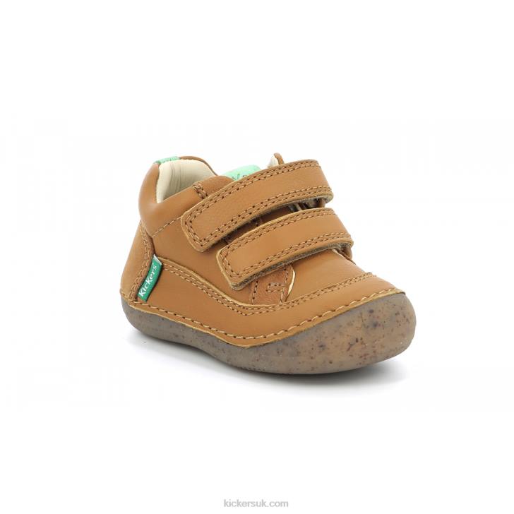 Sostankro Camel Kickers ZDBR914 Kids