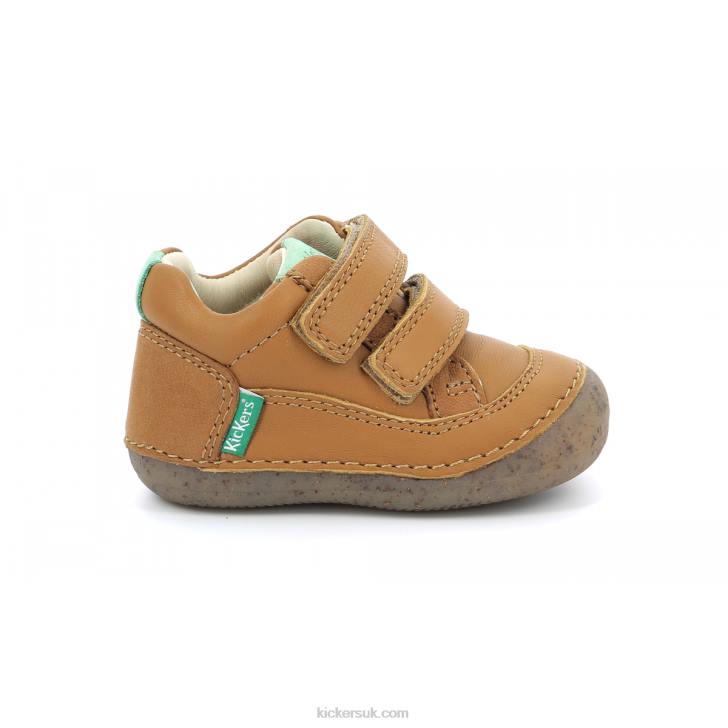 Sostankro Camel Kickers ZDBR914 Kids
