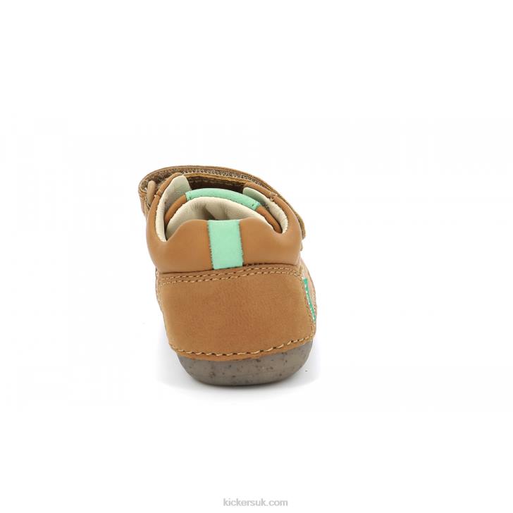 Sostankro Camel Kickers ZDBR914 Kids