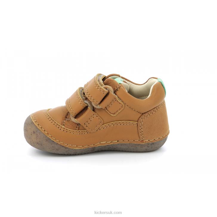 Sostankro Camel Kickers ZDBR914 Kids