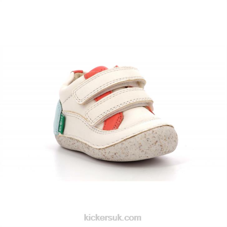 Sostankro White Pink Blue Kickers ZDBR833 Kids