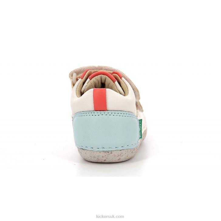 Sostankro White Pink Blue Kickers ZDBR833 Kids