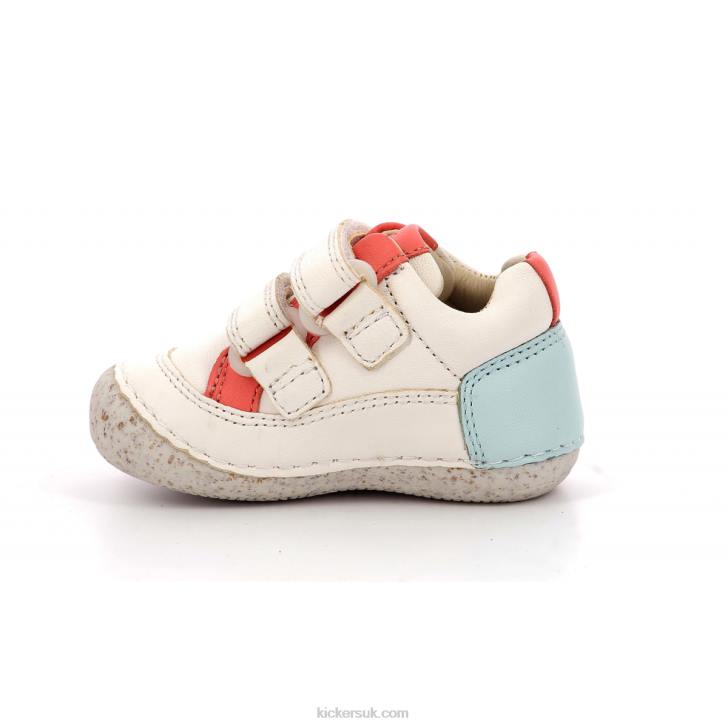 Sostankro White Pink Blue Kickers ZDBR833 Kids