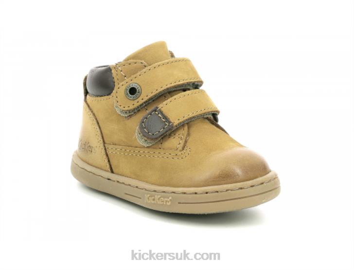 Tackeasy Camel Brown Kickers ZDBR908 Kids