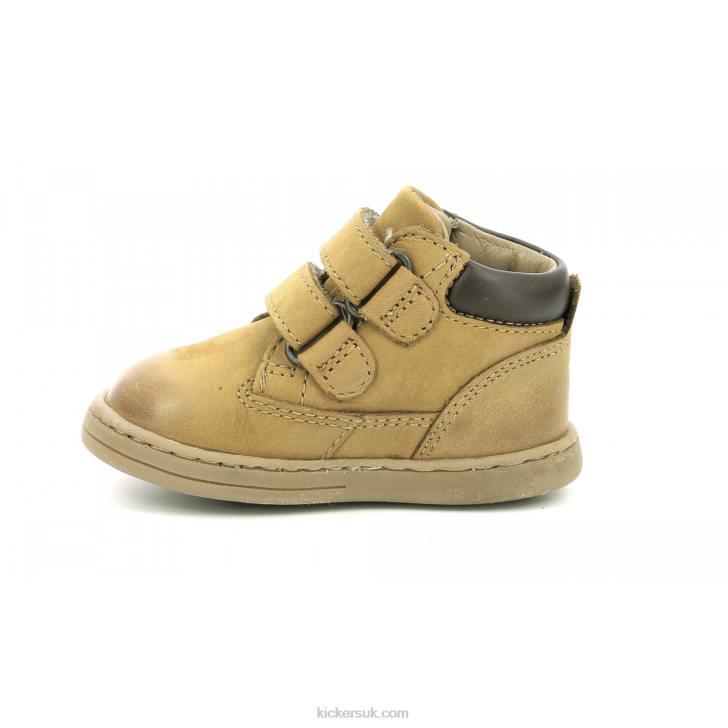 Tackeasy Camel Brown Kickers ZDBR908 Kids