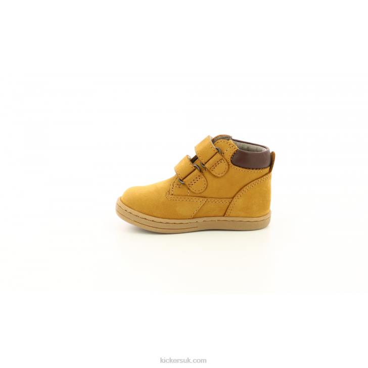 Tackeasy Camel Kickers ZDBR845 Kids