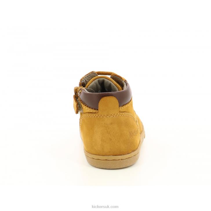 Tackland Camel Kickers ZDBR866 Kids