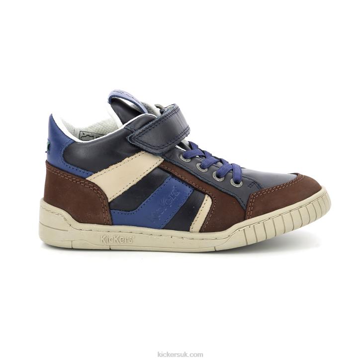 Wincky Cdt Brown Blue Navy Kickers ZDBR985 Kids